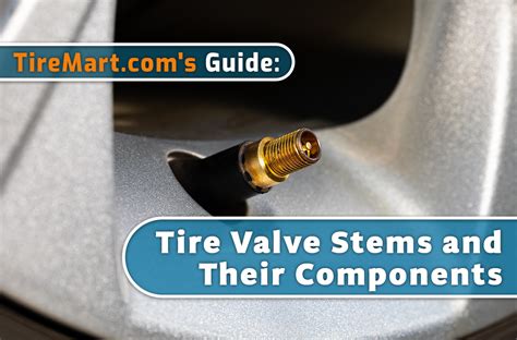 types of tire valve stems